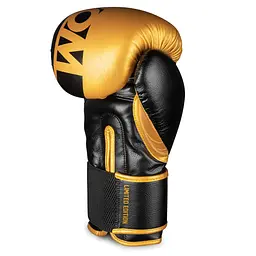 Боксерські рукавички Phantom 16 унций fit0011755 - мініатюра 3