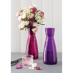 Декантер Bormioli Rocco Ypsilon Pink Fuchsia 500 мл (125081MG8321605) - мініатюра 2