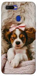 TPU чохол Demsky Sleepy spaniel для Oppo A5s / Oppo A12
