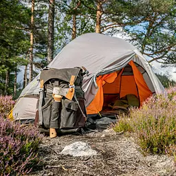 Намет одномісний Wechsel Venture 1 TL Laurel Oak (231058) - мініатюра 6