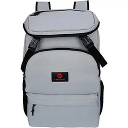 Рюкзак Tigernu T-B3210 15.6 Silver Grey