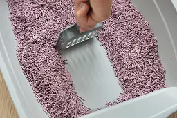 Біорозкладний наповнювач для котячих туалетів UniQ PETS Cat Litter Tofu Lavender 2.5 кг - мініатюра 8