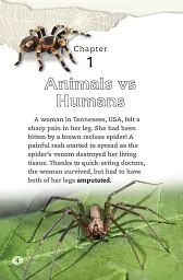 DK Readers 4: Spiders and Other Deadly Animals - мініатюра 2