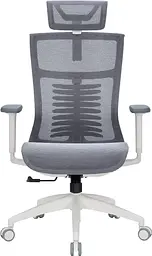 Офісне крісло OfficePro Balance OC620-W-DG-DG (OC620-W-DG-DG) - мініатюра 2