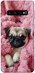 TPU чохол Demsky Мопс у ніжностях для Samsung Galaxy S10