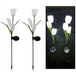 Світильники садові White Tulip flower на сонячній батареї квіти тюльпани 2 шт
