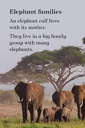 Ladybird Readers Level 1. BBC Earth: Baby Animals - мініатюра 4