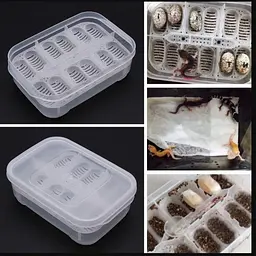 Інкубатор пластиковий Terrario EggIncubator на 12 яєць для рептилій і дрібних птахів - мініатюра 9