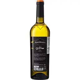 Вино Casa Sant'Orsola Althaia White біле сухе 0.75 л - мініатюра 2