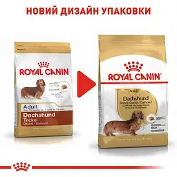 Сухий корм для дорослих собак породи Такса Royal Canin Dachshund Adult, 1,5 кг (3059015) - мініатюра 2