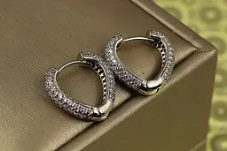 Сережки Xuping Jewelry Вівальді 1.8 см сріблясті - мініатюра 2