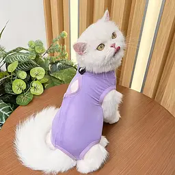 Одяг для котів після операції Holley Purple S