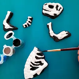 Набір для створення гіпсової фігурки Ses Creative Ті-Рекс зі скелетом (14206S) - мініатюра 7