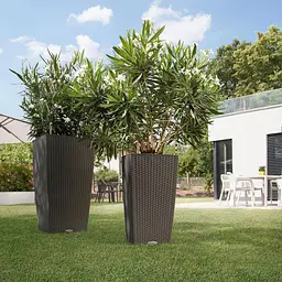 Вазон Lechuza Cubico Cottage 40 графітово-чорний (15253) - мініатюра 5