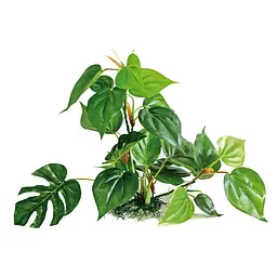Рослина в акваріум 30 см штучна Croci ANUBIAS