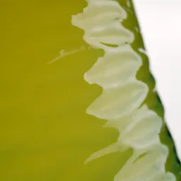 Лікер Limoncello di Capri, 30%, 0,7 л - мініатюра 3