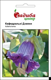 Кобея Кафедральні Дзвони, 0,3 г, Садиба Центр