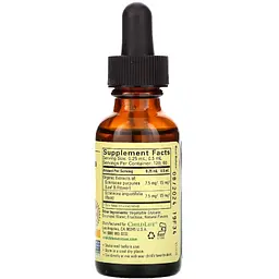 Ехінацея для дітей ChildLife Echinacea зі смаком апельсина 26.9 мл (CDL10100) - мініатюра 2