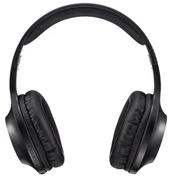 Гарнітура Panasonic RB-HX220BEE-K (RB-HX220BEEK) - мініатюра 3