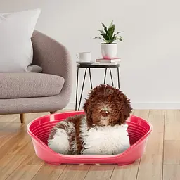 Пластиковий лежак для собак і котів Ferplast Siesta Deluxe 8 бордовий 82×59,5×25 см 70208929 - мініатюра 3