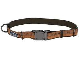Нашийник для собак Coastal k9 Explorer 2,5см x 45-65 см нейлон