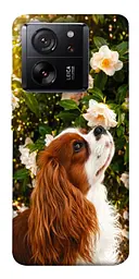 TPU чохол Demsky Flower spaniel для Xiaomi 13T