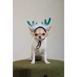 Аксесуар для собак Pet Fashion Deer XS-S - мініатюра 6