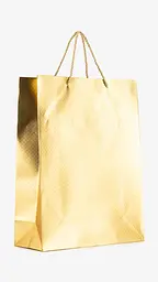 Новорічний подарунковий пакет 755L Золотий shop (2000999333576)