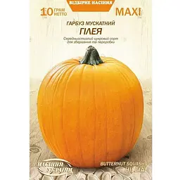 Насіння Гарбуз мускатний Насіння України Гілея Maxi 10 г (686000)