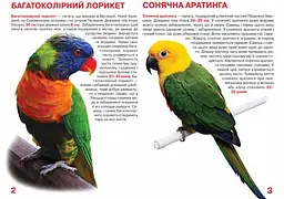 Велика книга Кристал Бук Папуги (F00010905) - мініатюра 2