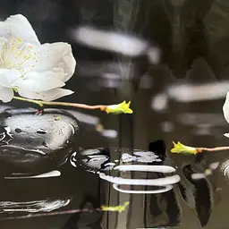 Вініловий кухонний фартух Білі квіти на каменях наклейка для кухні ПВХ Чорний 60х200 см Happy Pocket Z181696 - мініатюра 10