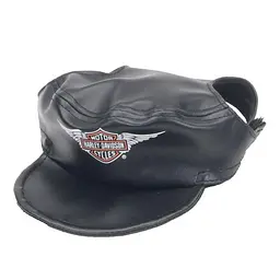 Кепка одяг для собак Coastal hd Skull костал харлей девидсон