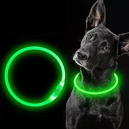 Світлодіодний LED нашийник для собак із зарядкою USB, зелений - мініатюра 8