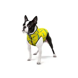 Курточка для собак Waudog Clothes малюнок Сміливість S35 В 47-50 см С 30-33 см - мініатюра 4