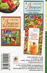 Лікарські овочеві рослини - мініатюра 2