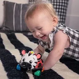 Брязкальце Baby Einstein Oball. Curious Car Zen (16772) - мініатюра 6