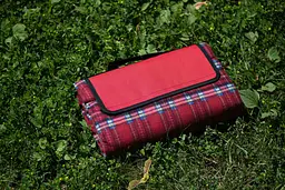 Плед Ardesto Picnic 130х170 см 100% поліестер клітинка червоний pbe0050457 - мініатюра 3