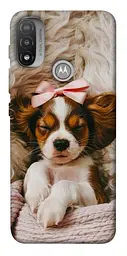 TPU чохол Demsky Sleepy spaniel для Motorola Moto E20