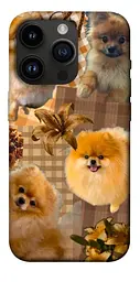 TPU чохол Demsky Spitz aethtetic для Apple iPhone 14 Pro (6.1")