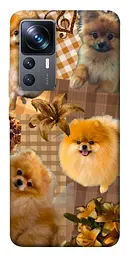 TPU чохол Demsky Spitz aethtetic для Xiaomi 12T / 12T Pro