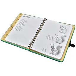 Скетчбук ОКО Sketch Book Скетчбук Малюємо тварин експрес курс українською O SB DA - мініатюра 5