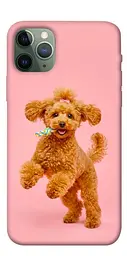 TPU чохол Demsky Happy poodle для Apple iPhone 11 Pro (5.8")