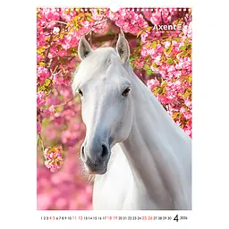 Календар настінний Axent А3 Horses 2026 рік (8804-26-3-A) - мініатюра 5