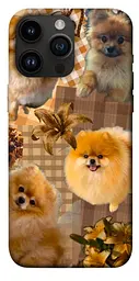 TPU чохол Demsky Spitz aethtetic для Apple iPhone 14 Pro Max (6.7")