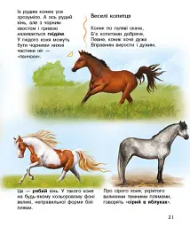Енциклопедія дошкільника: Коні - мініатюра 5