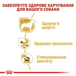 Набір вологий корм Royal Canin Chihuahua Adult для собак породи Чихуахуа 1.02 кг (12 шт. х 85 г) - мініатюра 5