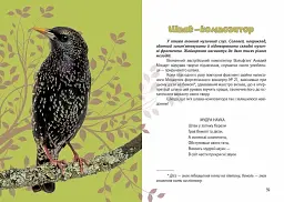 Вусохвості й лапокрилі. Читанка про тварин - мініатюра 7