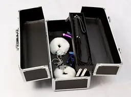 Великий кейс для зберігання секс-іграшок BMS Factory Large Lokable Vibrator Case - мініатюра 6