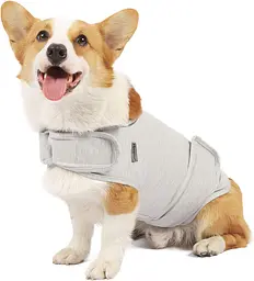 Заспокійливий жилет для собак WanTalk Dog Anxiety Jacket, Light Grey