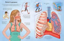 Тіло. Цікаве всередині - мініатюра 4